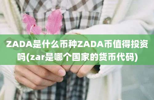 ZADA是什么币种ZADA币值得投资吗(zar是哪个国家的货币代码)