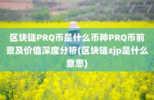 区块链PRQ币是什么币种PRQ币前景及价值深度分析(区块链zjp是什么意思)