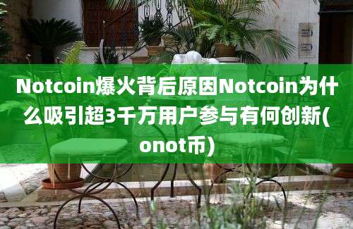 Notcoin爆火背后原因Notcoin为什么吸引超3千万用户参与有何创新(onot币)