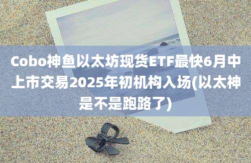 Cobo神鱼以太坊现货ETF最快6月中上市交易2025年初机构入场(以太神是不是跑路了)