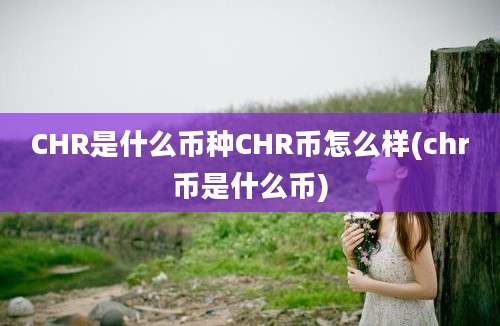 CHR是什么币种CHR币怎么样(chr币是什么币)