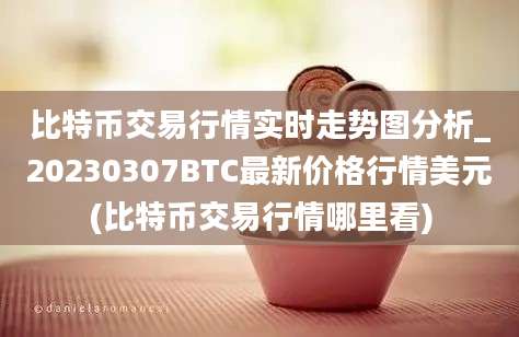 比特币交易行情实时走势图分析_20230307BTC最新价格行情美元(比特币交易行情哪里看)