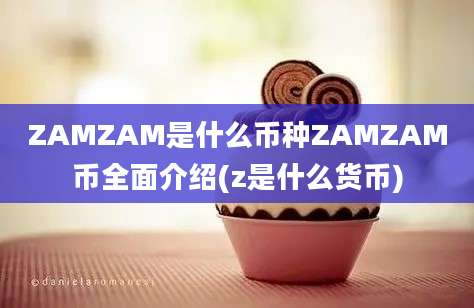 ZAMZAM是什么币种ZAMZAM币全面介绍(z是什么货币)