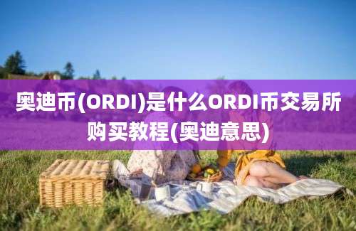 奥迪币(ORDI)是什么ORDI币交易所购买教程(奥迪意思)