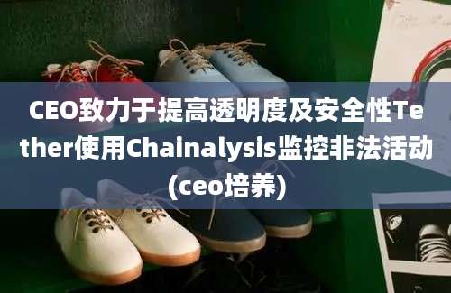 CEO致力于提高透明度及安全性Tether使用Chainalysis监控非法活动(ceo培养)