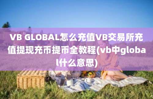 VB GLOBAL怎么充值VB交易所充值提现充币提币全教程(vb中global什么意思)