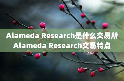 Alameda Research是什么交易所Alameda Research交易特点