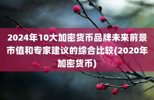 2024年10大加密货币品牌未来前景市值和专家建议的综合比较(2020年加密货币)