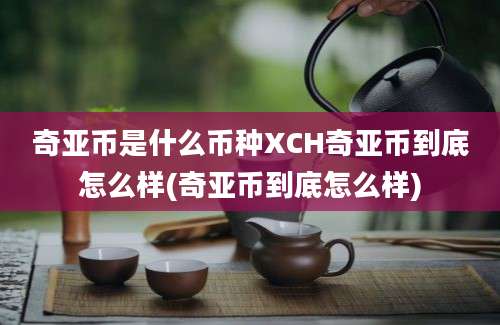 奇亚币是什么币种XCH奇亚币到底怎么样(奇亚币到底怎么样)