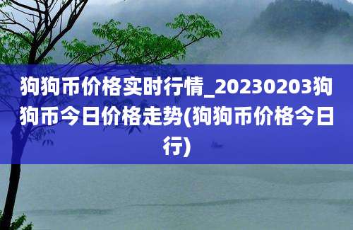 狗狗币价格实时行情_20230203狗狗币今日价格走势(狗狗币价格今日行)