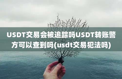 USDT交易会被追踪吗USDT转账警方可以查到吗(usdt交易犯法吗)