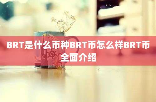 BRT是什么币种BRT币怎么样BRT币全面介绍