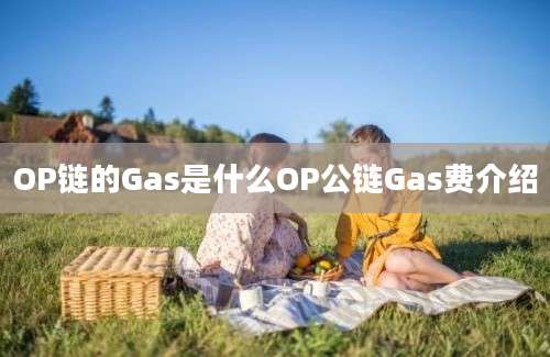 OP链的Gas是什么OP公链Gas费介绍