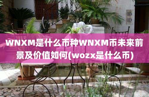 WNXM是什么币种WNXM币未来前景及价值如何(wozx是什么币)