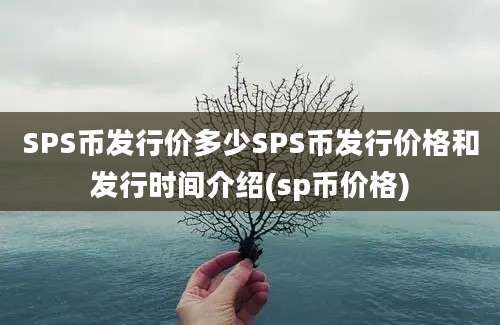 SPS币发行价多少SPS币发行价格和发行时间介绍(sp币价格)