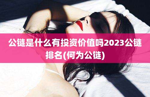 公链是什么有投资价值吗2023公链排名(何为公链)