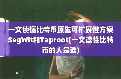 一文读懂比特币原生可扩展性方案SegWit和Taproot(一文读懂比特币的人是谁)