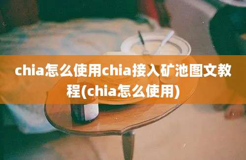 chia怎么使用chia接入矿池图文教程(chia怎么使用)