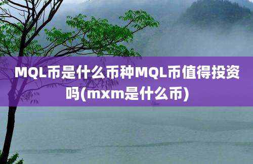 MQL币是什么币种MQL币值得投资吗(mxm是什么币)