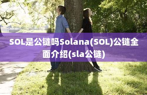 SOL是公链吗Solana(SOL)公链全面介绍(sla公链)