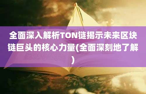 全面深入解析TON链揭示未来区块链巨头的核心力量(全面深刻地了解)