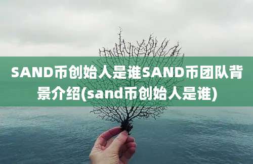 SAND币创始人是谁SAND币团队背景介绍(sand币创始人是谁)