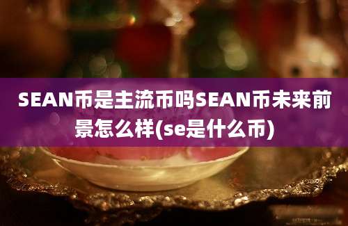 SEAN币是主流币吗SEAN币未来前景怎么样(se是什么币)