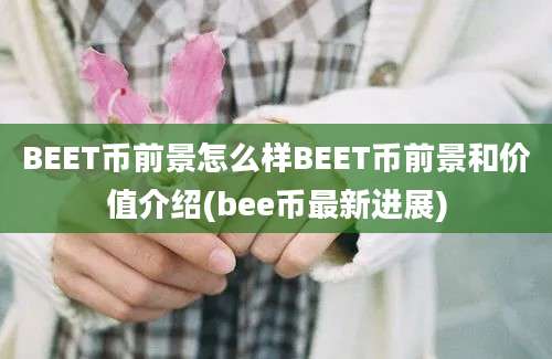 BEET币前景怎么样BEET币前景和价值介绍(bee币最新进展)