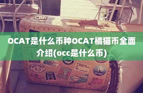 OCAT是什么币种OCAT橘猫币全面介绍(occ是什么币)