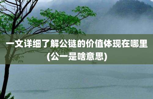 一文详细了解公链的价值体现在哪里(公一是啥意思)