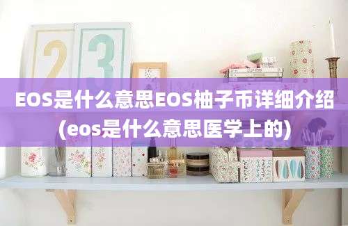 EOS是什么意思EOS柚子币详细介绍(eos是什么意思医学上的)