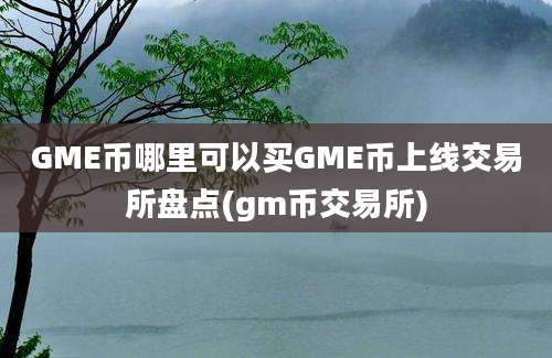 GME币哪里可以买GME币上线交易所盘点(gm币交易所)