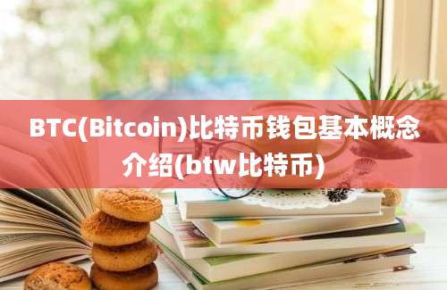 BTC(Bitcoin)比特币钱包基本概念介绍(btw比特币)