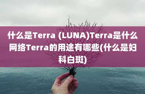 什么是Terra (LUNA)Terra是什么网络Terra的用途有哪些(什么是妇科白斑)