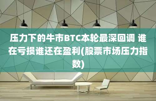 压力下的牛市BTC本轮最深回调 谁在亏损谁还在盈利(股票市场压力指数)