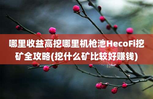 哪里收益高挖哪里机枪池HecoFi挖矿全攻略(挖什么矿比较好赚钱)