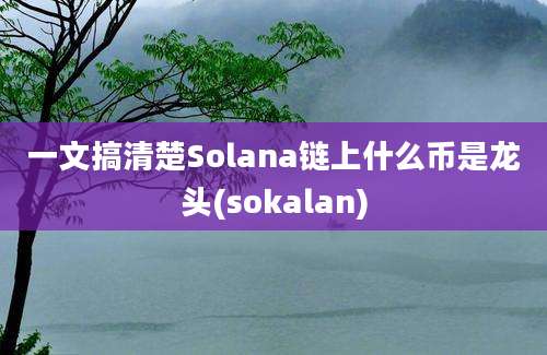 一文搞清楚Solana链上什么币是龙头(sokalan)