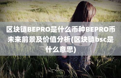 区块链BEPRO是什么币种BEPRO币未来前景及价值分析(区块链bsc是什么意思)