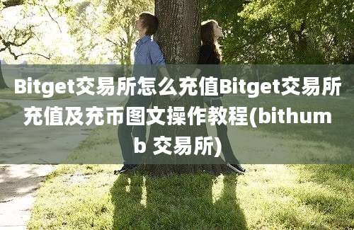 Bitget交易所怎么充值Bitget交易所充值及充币图文操作教程(bithumb 交易所)