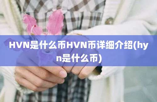 HVN是什么币HVN币详细介绍(hyn是什么币)