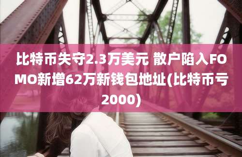 比特币失守2.3万美元 散户陷入FOMO新增62万新钱包地址(比特币亏2000)