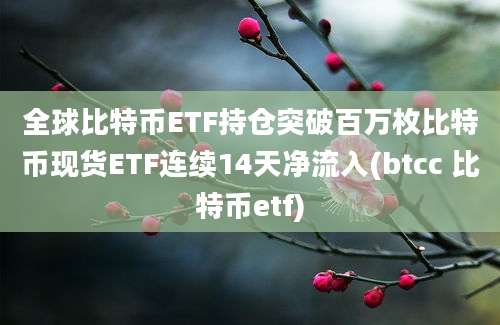 全球比特币ETF持仓突破百万枚比特币现货ETF连续14天净流入(btcc 比特币etf)