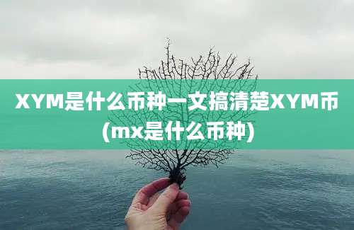 XYM是什么币种一文搞清楚XYM币(mx是什么币种)