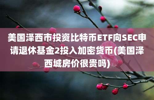 美国泽西市投资比特币ETF向SEC申请退休基金2投入加密货币(美国泽西城房价很贵吗)