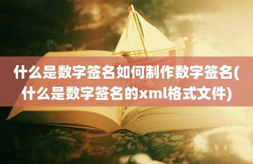 什么是数字签名如何制作数字签名(什么是数字签名的xml格式文件)