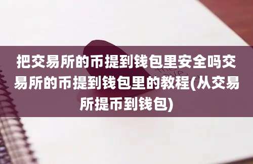 把交易所的币提到钱包里安全吗交易所的币提到钱包里的教程(从交易所提币到钱包)