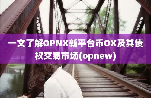 一文了解OPNX新平台币OX及其债权交易市场(opnew)