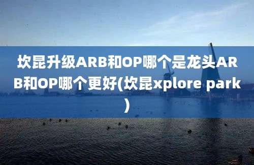 坎昆升级ARB和OP哪个是龙头ARB和OP哪个更好(坎昆xplore park)