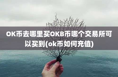 OK币去哪里买OKB币哪个交易所可以买到(ok币如何充值)