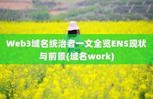 Web3域名统治者一文全览ENS现状与前景(域名work)